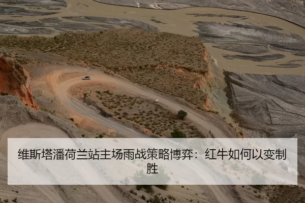 维斯塔潘荷兰站主场雨战策略博弈：红牛如何以变制胜