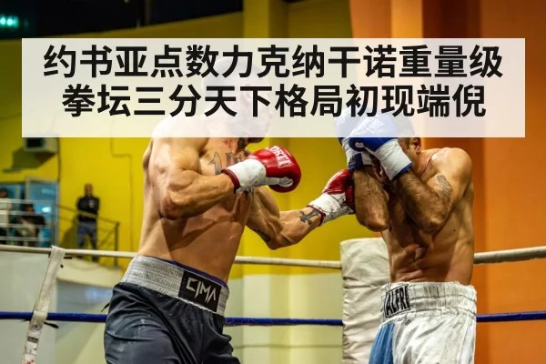 heavyweight boxing fight