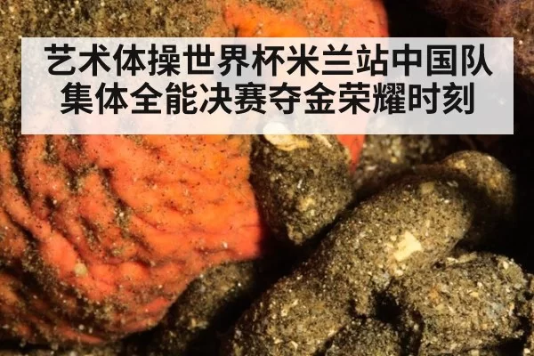 艺术体操世界杯米兰站中国队集体全能决赛夺金荣耀时刻