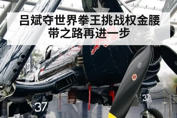 吕斌夺世界拳王挑战权金腰带之路再进一步